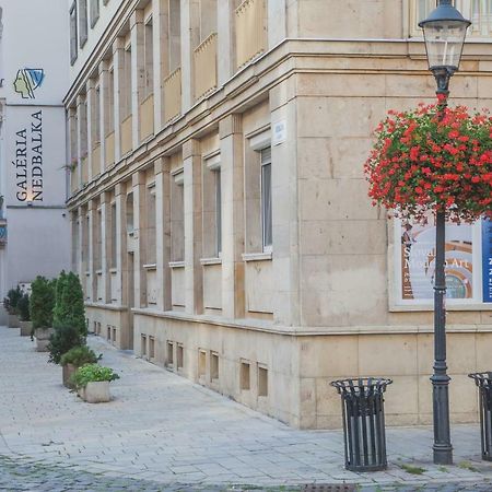 Downtown Pedestrian Zone Apartment Bratislava Ngoại thất bức ảnh